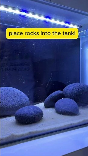 Top Aquarist Reveals BEST Goldfish Tank Setup Techniques
