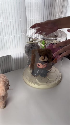 Rotating Display Case Ideas for Toy Collectors