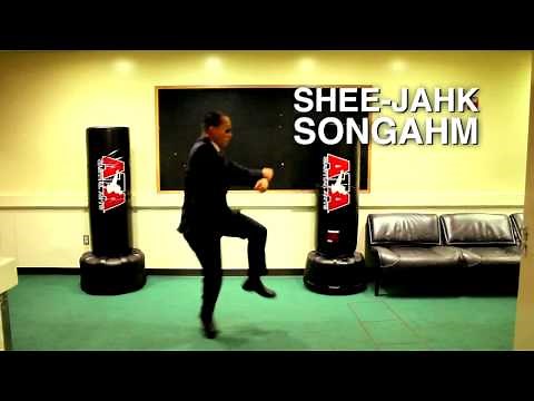 SONGAHM STYLE (Music Video) "Gangnam Style" Parody