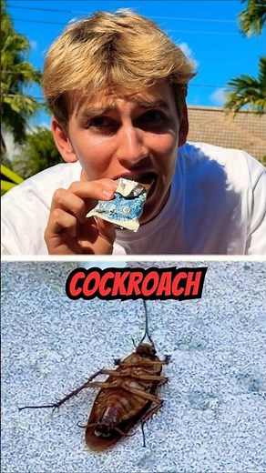 Did Stephen Sharer eat a BUG? 🤢