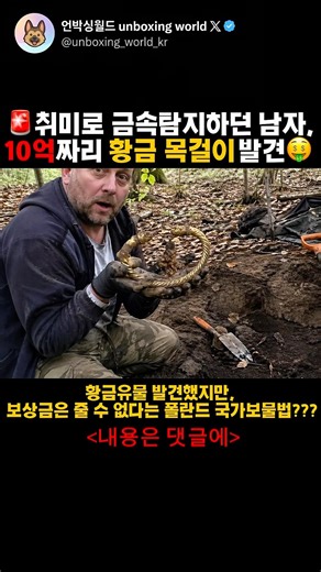 🚨취미로 금속탐지하던 남자 10억짜리 황금목걸이 발견🤑