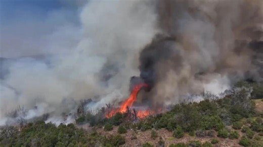 Climate change set the stage for devastating wildfires in Argentina and Chile, study finds