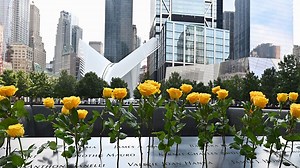 The Documentary Podcast - 9/11: The day that changed our lives forever - BBC Sounds