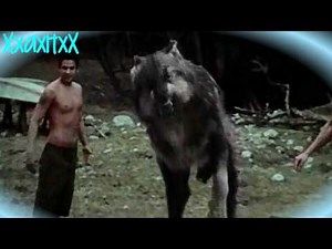 La Push Wolf Pack Tribute