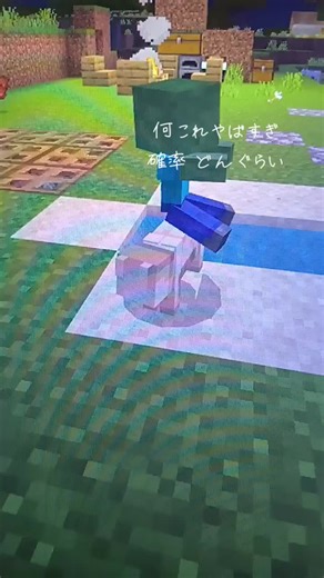 #Minecraft #マイクラ#ゾンビ