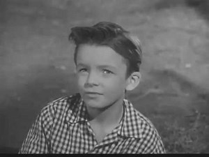 1960s BORDEN'S ICE CREAM COMMERCIAL - "Math Lesson" - Fury cast