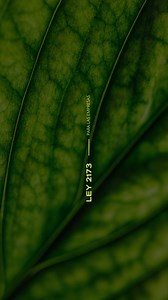 Si tu empresa tiene más de 50 empleados, la Ley 2173 te obliga a plantar 2 árboles por persona 🌳. En Treeoma te ayudamos a hacerlo bien: con planificación e impacto real. Anticípate y genera valor para tu marca. | Biomma