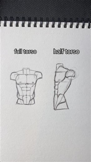How to draw full and half male Torso✨️