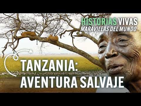 Discovering Tanzania: Wildlife Up Close | Historias Vivas | Full Documentary