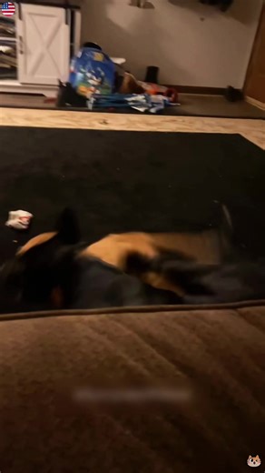 Funny prank #foryou #funny #fyp #prank #usa