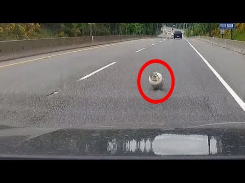 Driver nearly hit by bouncing propane tank on Vancouver Island highway