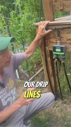 How I Keep My Garden Alive During Heat Waves (Drip Irrigation) #shorts
