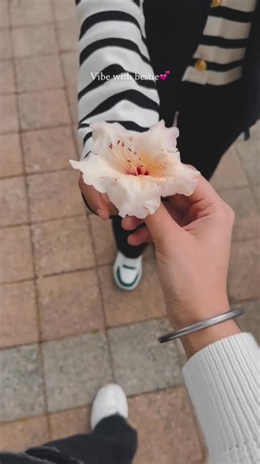 Rahul | #look #photographer #rahul000075567❤️🧿 | Instagram