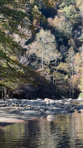Little River in late October, Fall colors #smokymountainsnationalpark #smokymountains #fallcolors #townsend | TheSmokyMountains.com