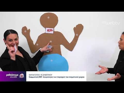 Μαθαίνουμε στο Σπίτι : Νηπιαγωγείο - Β Δημοτικού | Γραμματική ΕΓΝ | 15/05/2020 | ΕΡΤ