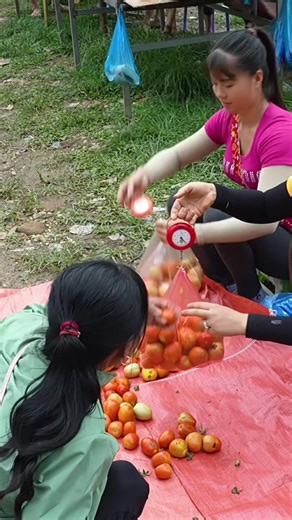 Essential Tips for Harvesting Fruit in Your Garden