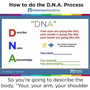 The skill that connects to this week's Power of Acceptance is Empathy with the DNA Process, which stands for: D- Describe N- Name A- Acknowledge The D.N.A. Process helps us move toward offering conscious empathy and coaching children from the lower centers to the higher centers of their brains in order to solve problems effectively. As we scaffold this process during times of upset, we provide children with an outside voice that will ultimately contribute to a healthy self-regulatory voice. 💻 W