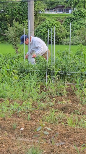 Who's in the chili pepper patch?
