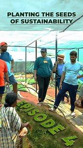 5.9K views · 106 reactions |  Want to learn the ins and outs of organic farming? Watch our series *”Pure Roots”* as we share our knowledge and experience. In this episode, we’re covering everything you need to know about choosing healthy saplings ✨. It’s a must-watch for anyone interested in growing their own food! 凌....#kannada #trendingaudio #farming #karnataka #pureroots #kannadamotivation #reels #organic #vegetables | Organic Mandya | Facebook