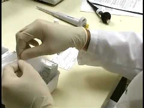 ASI RPR Test Kit (Syphilis Screening)