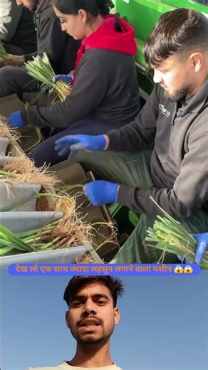 देख लो एक साथ ज्यादा लहसून लगाने वाला मशीन 😱😱 #virel #shorts #trandingshorts #explore