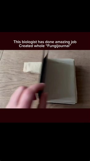 Exploring the Intersection of Art and Science