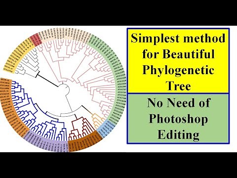Phylogenetic Tree Construction #iTol #Genomewidestudy