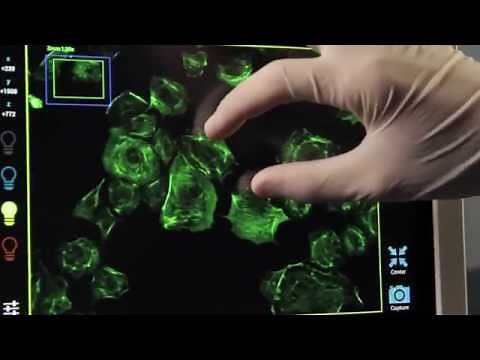 Cell Imaging Simplified - the ZOE™ Fluorescent Cell Imager