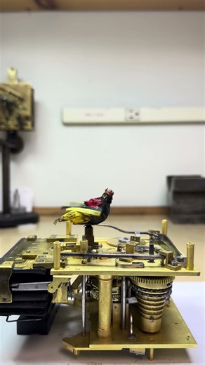 Fusee Swiss Singing Bird #shorts