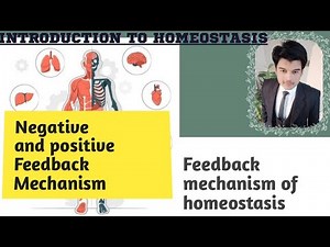 Feedback Mechanism of Homeostasis,Negative and positive Feedback Mechanism.||advance knowledge||.