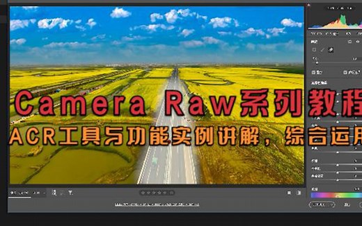 Camera Raw系列教程，ACR工具与功能实例讲解，综合运用