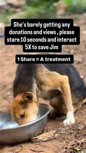 help Jim get a wheel chair ♿️ please #donate #memes #wheelchair #screech