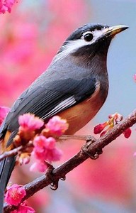 Random Oneshots - BBC Merlin x Reader