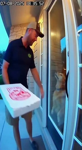 Did This Pizza Guy Just Deliver to the Dog Instead of the Owner? 🍕🐕🤣