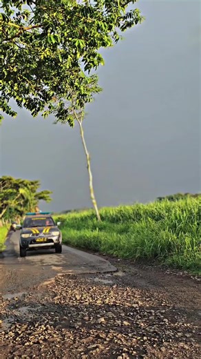 Balapan Liar di Bondowoso: Ayo Lari!