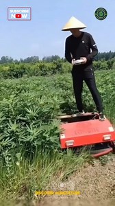 39K views · 293 reactions | Remote Operated Weeding Robot  | Discover Agriculture | Facebook