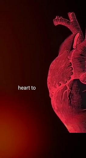 Alyssa Fernando (@alyssafernando1)’s videos with original sound - Alyssa Fernando