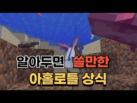 알아두면 쓸만한 아홀로틀 상식 10가지 (마인크래프트)