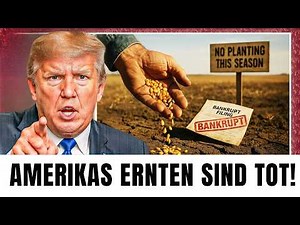 Todeszone der US-Landwirtschaft: 7 Cash Crops, die niemand mehr will