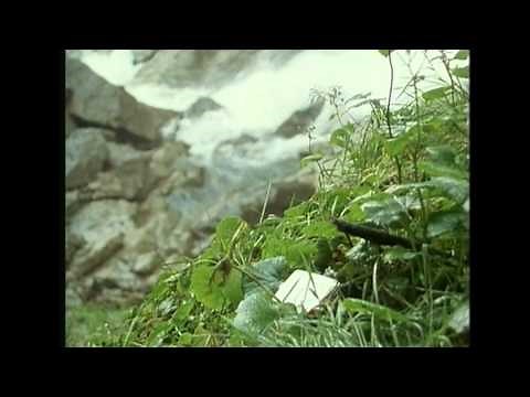 Sherlock Holmes-The Final Problem Part 4