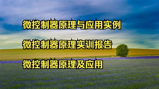 微控制器原理与应用实例 微控制器原理实训报告 微控制器原理及应用