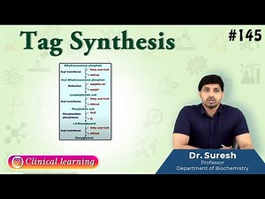 145. Triacylglycerol Synthesis - Lipid Metabolism | USMLE, FMGE and NEET PG