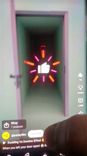 When you left your door open!#shorts #funny#duck