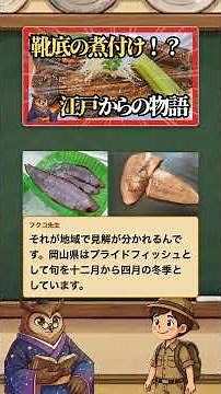 主役シタビラメの素顔｜くつぞこの煮つけ #雑学 #料理 #歴史 #ゆっくり解説