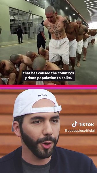 Bad Apples (@badapplesofficial)’s videos with original sound - Bad Apples