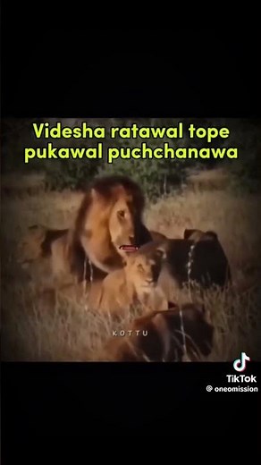 hukanawa 😍😆