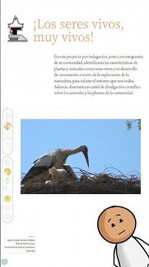 Los seres vivos ¡Muy vivos!