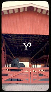 Built to last and ready for any venture. Welcome to the Stockyard. | Dan Post Boot Company