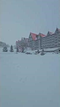 Deep powder day at Hakuba Cortina snow resort ❄️🌨⛷️🇯🇵 Japan Skiing ✨️💙 #hakuba #skijapan #japow