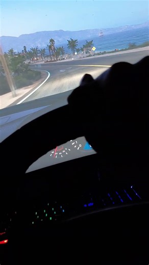 New steering wheel setup #steeringwheel #setup #new #forzahorizon5 #fh5